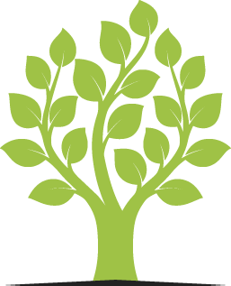 Willow Tree Trimming
