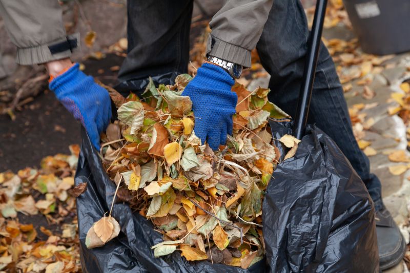 Leaf Collection Method