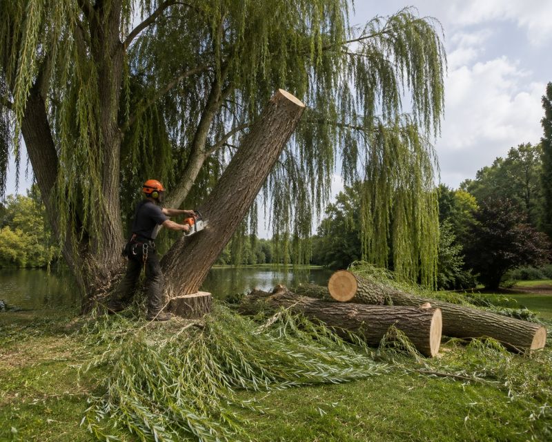 Tree Trimming Service